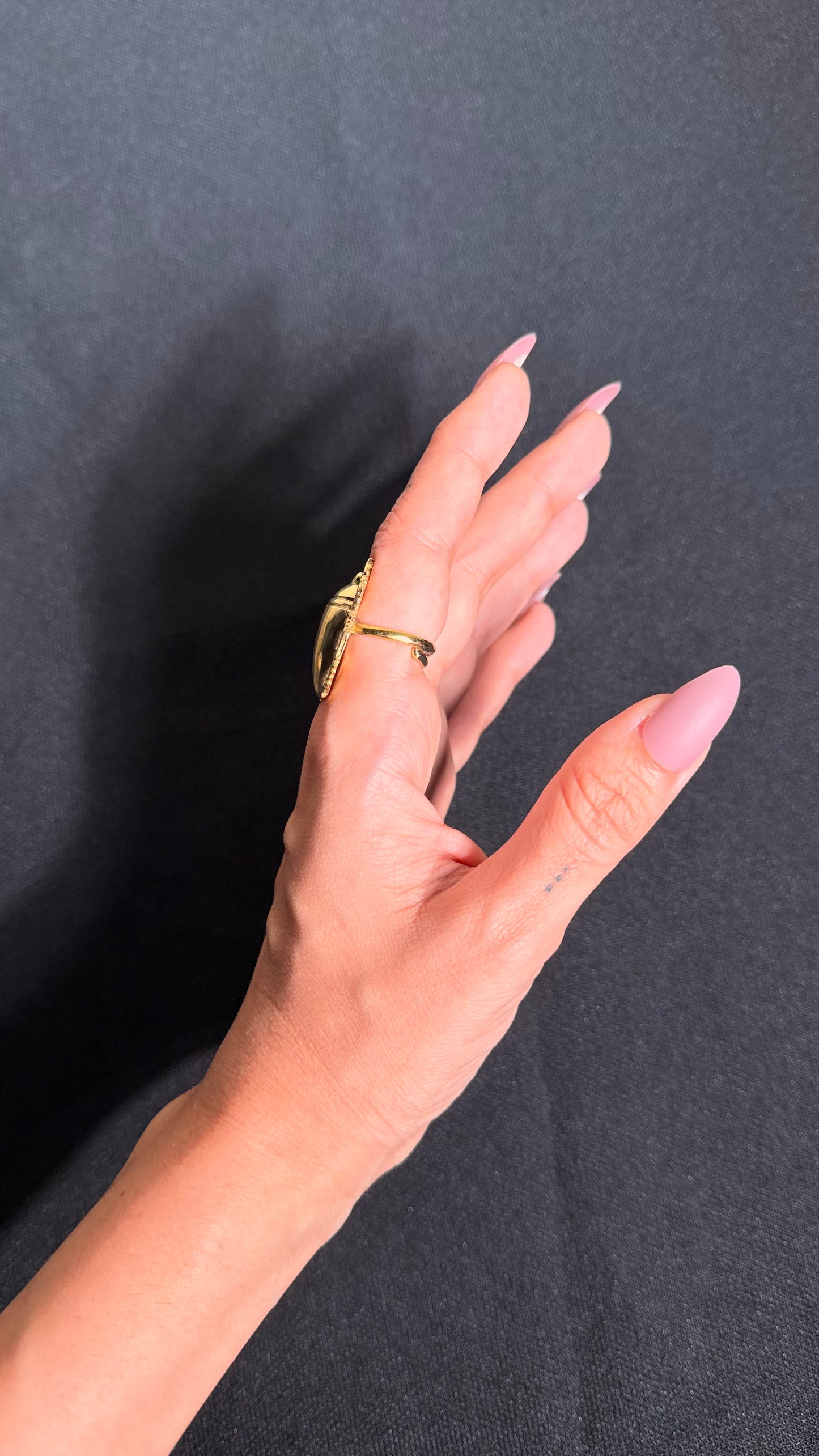 Bug Brass Ring