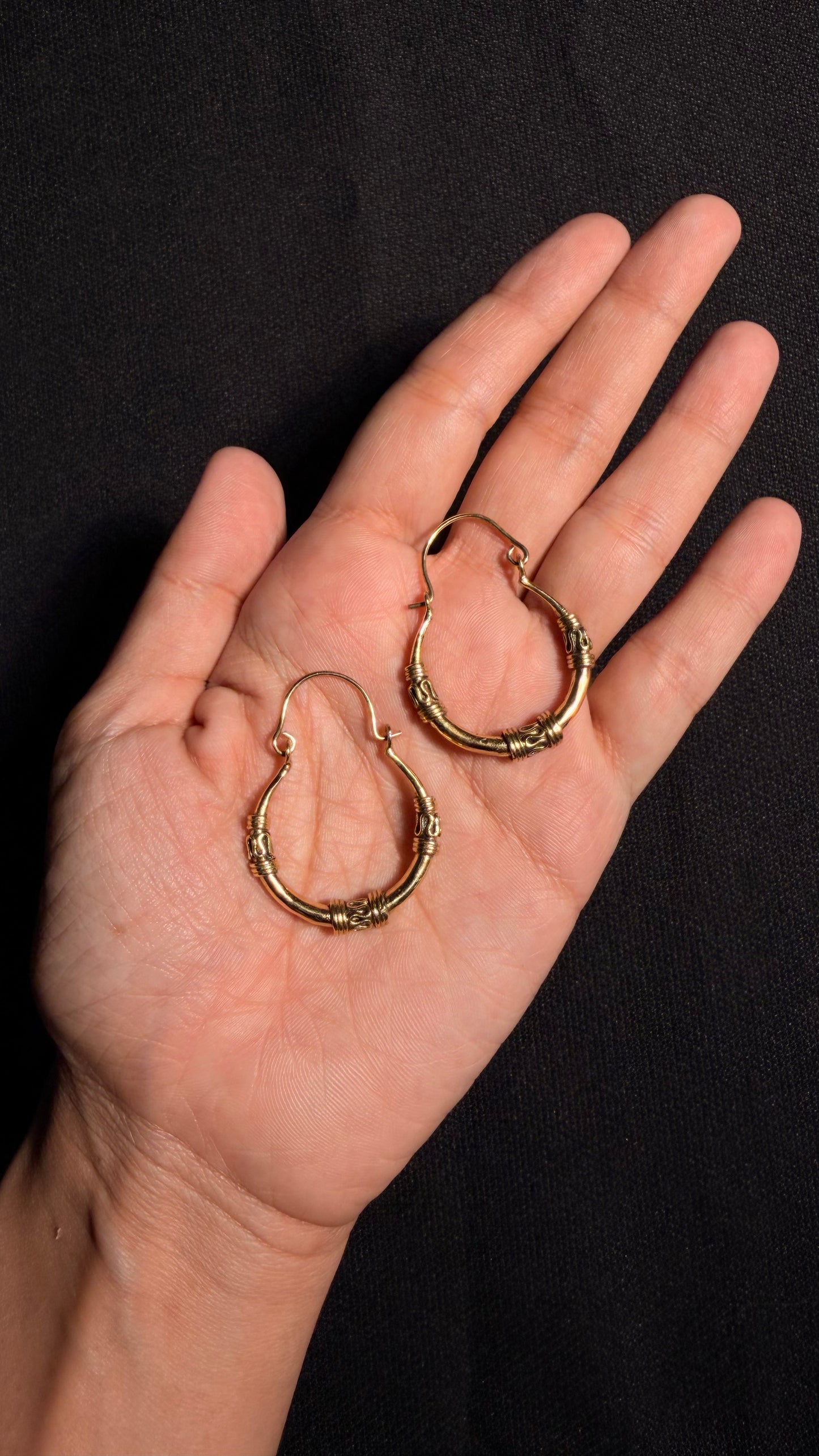 Lipi Brass Earrings