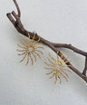 Soorya Brass Earrings