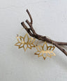Samina Brass Earrings