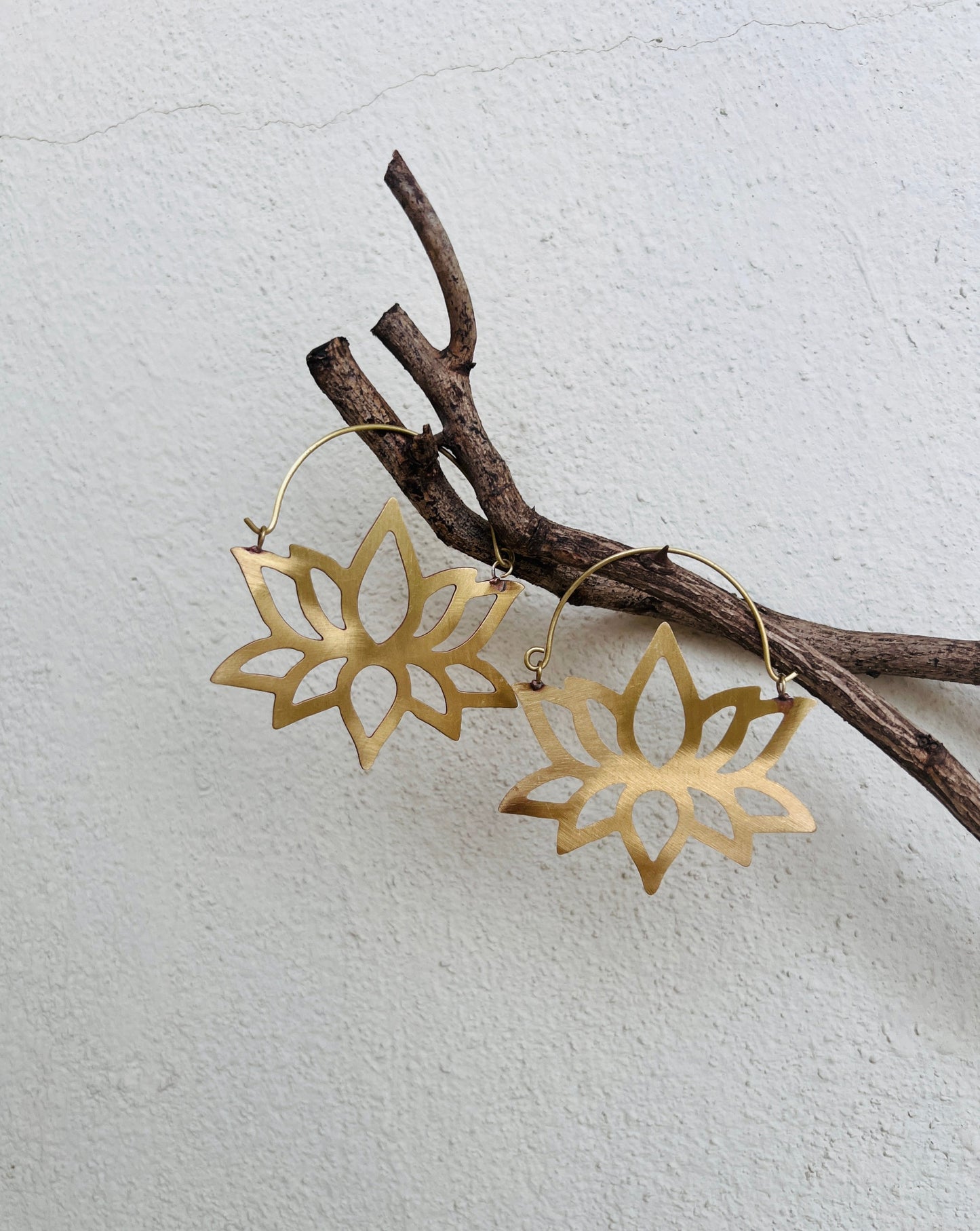 Samina Brass Earrings