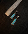 Meera Oxidised Earrings