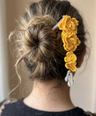 Rupam Hair Bun Stick